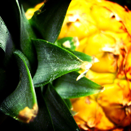 piña para la niña