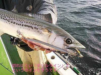 サワラ狙い 東京湾のジギング キャスティングの基本戦略 湘南ルアー情報局