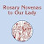Read Rosary Novenas: Including the Mysteries of Light–Large Print Edition Free PDF Book