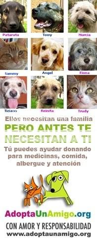 Image hosting by Photobucket