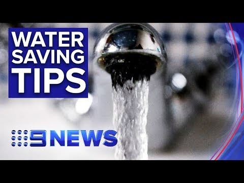 How to save water and money at the same time | Nine News Australia
