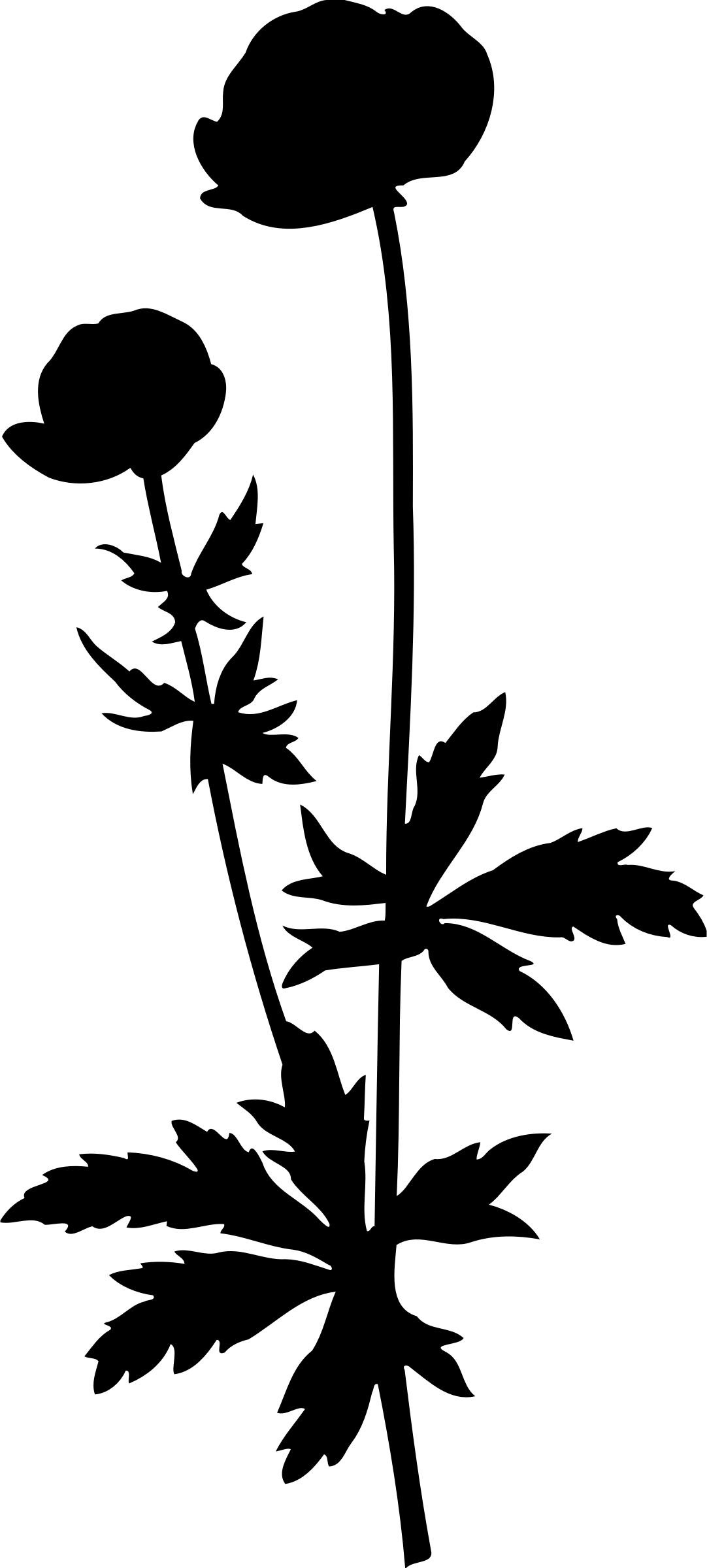 Free Free 164 Simple Wildflower Svg SVG PNG EPS DXF File