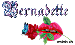 Bonne Fete Bernadette Et Joyeux Anniversaire A Humour Chez Marithe