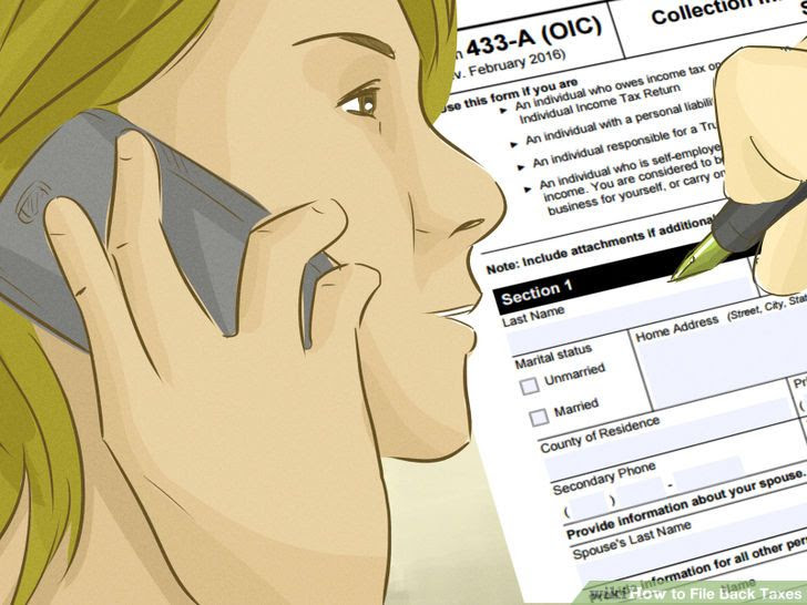 File Back Taxes Step 16.jpg
