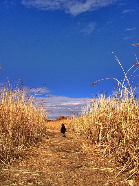 open space