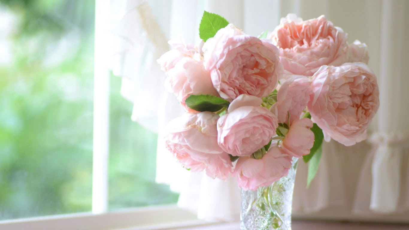 Pink Peonies Wallpaper - WallpaperSafari