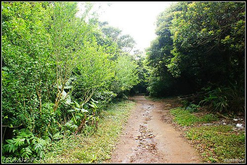 DSC02278