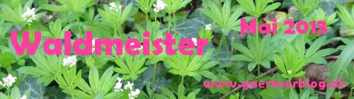 Garten-Koch-Event Mai: Waldmeister [31.05.2013]