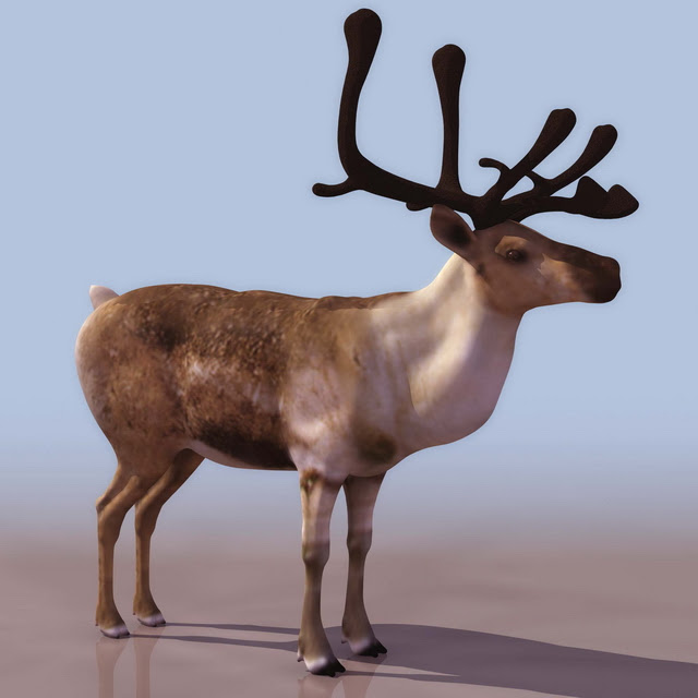 Low poly forest reindeer 3d model 3D Studio files free download ...