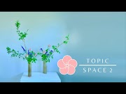 Space 2 - Four Ikebana Elements Level 2
