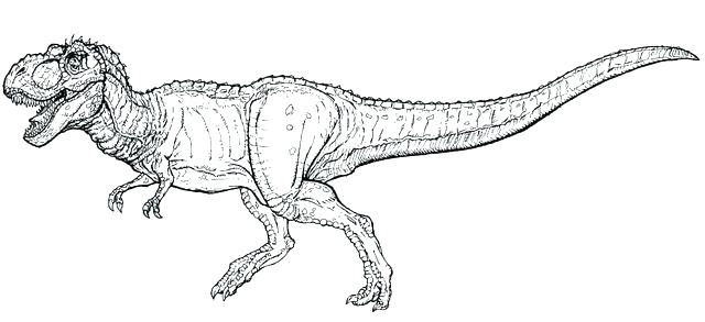 T Rex Printable Coloring Pages At Getdrawings Free Download