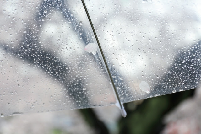 帰宅途中の突然の雨 ビニール傘よりお得に帰宅するには