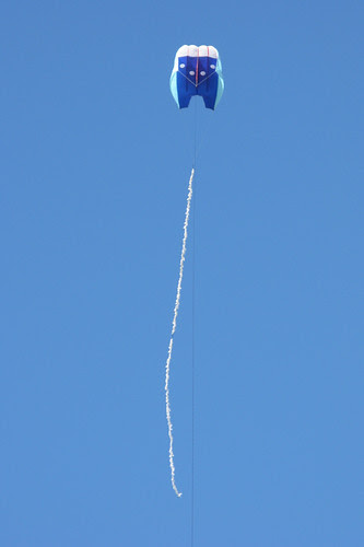 kite