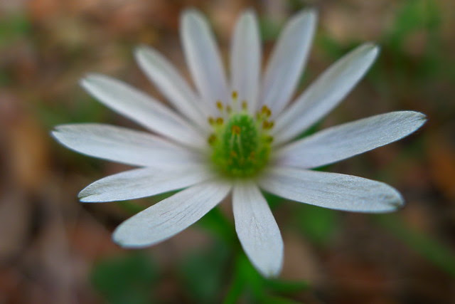 P1020288