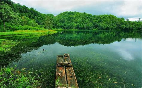 sederet wisata alam  borong ntt  menyejukkan mata