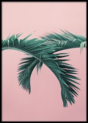 21+ Terpopuler Aesthetic Poster Green Pink