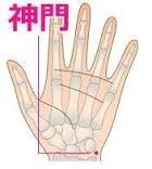 赤ちゃんの性別占いあれこれ 旧 おいしい毎日しあわせごはん