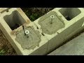 Build a shed on cinder blocks
