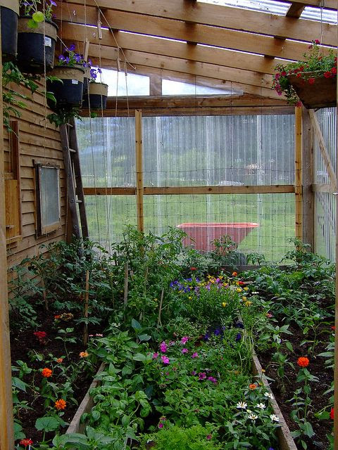 i want a lean-to greenhouse!