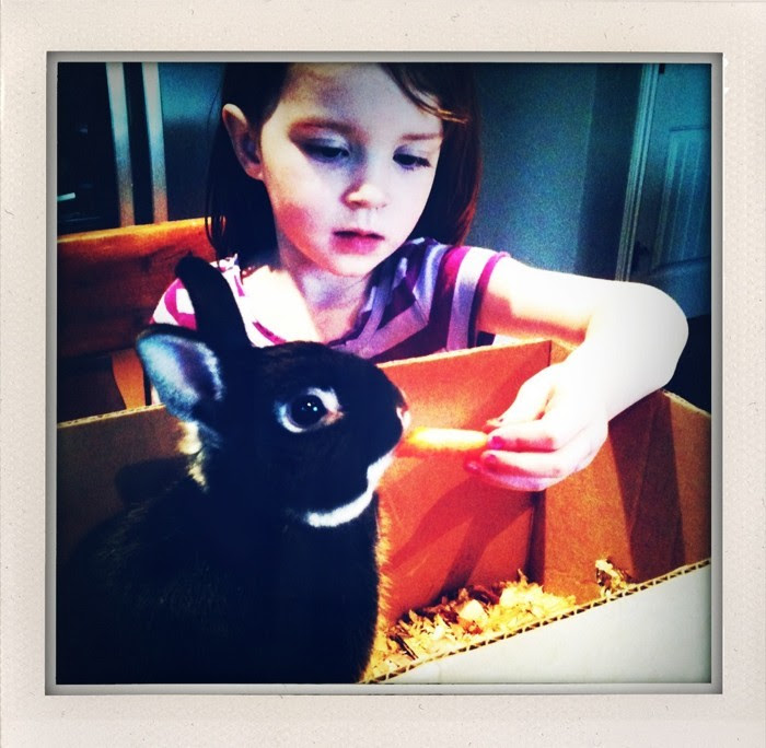 V + Bunny