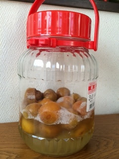 梅仕事 梅シロップ 梅ジャム 梅干 なのめのめ