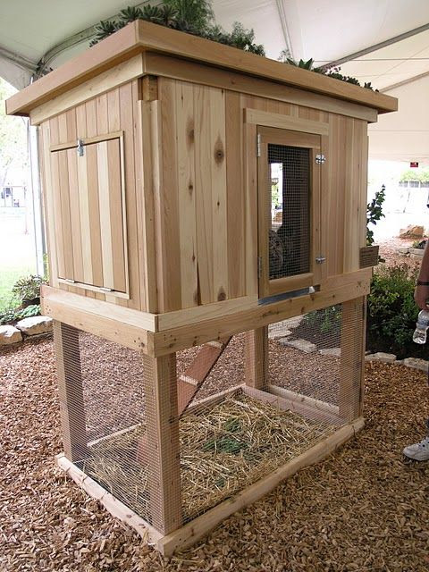 Chicken Coops