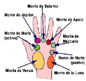 nombre de los dedos statue