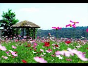 정훈희 - 꽃밭에서 노래듣기 / 가사 / 노래방 