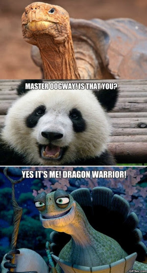 Master Oogway Quotes. QuotesGram