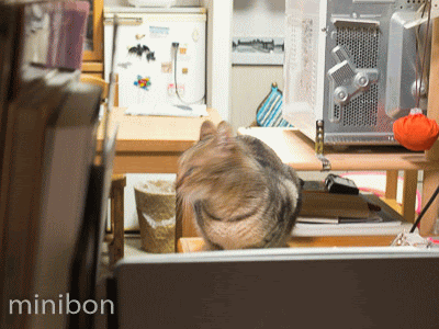 何かいたずらは Gif
