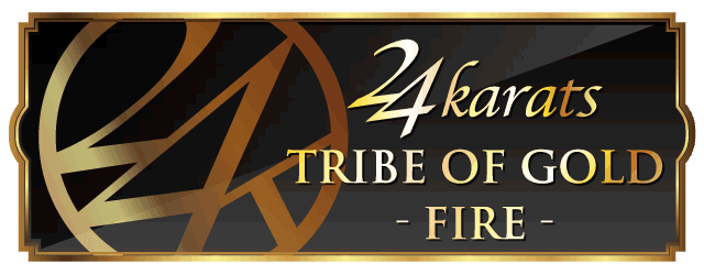 Tog Fire パレットui詳細ページ 24karats Cmn Detail Pui Set