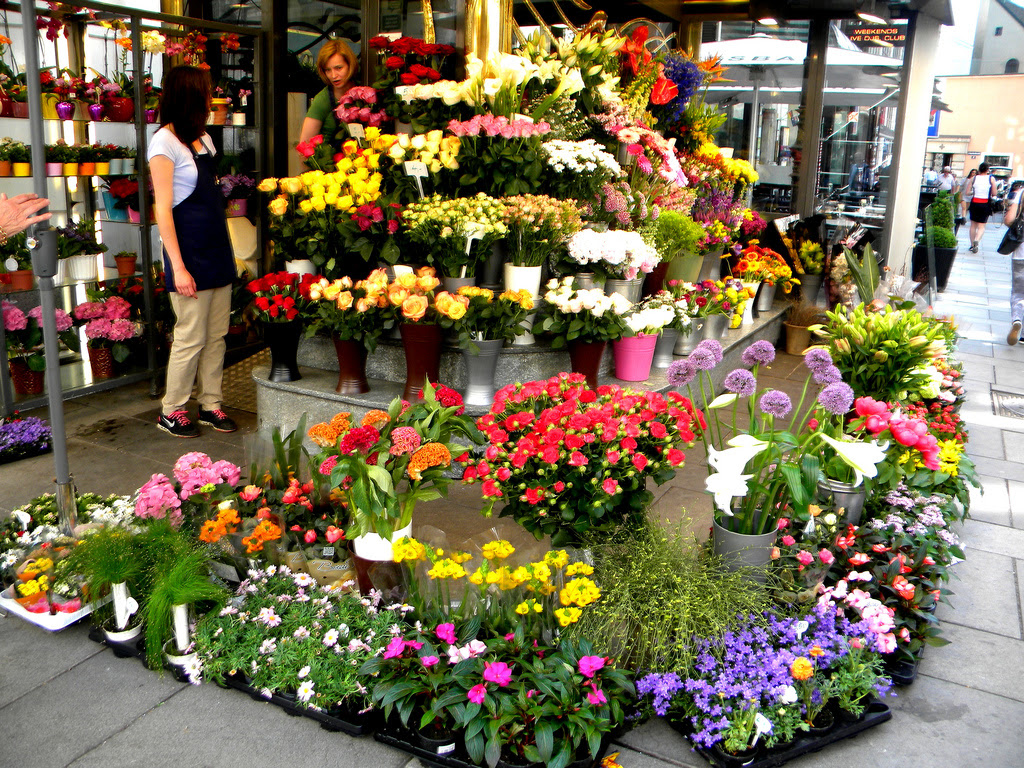 Picking Texas' Best: The Ultimate Flower [QUIZ]