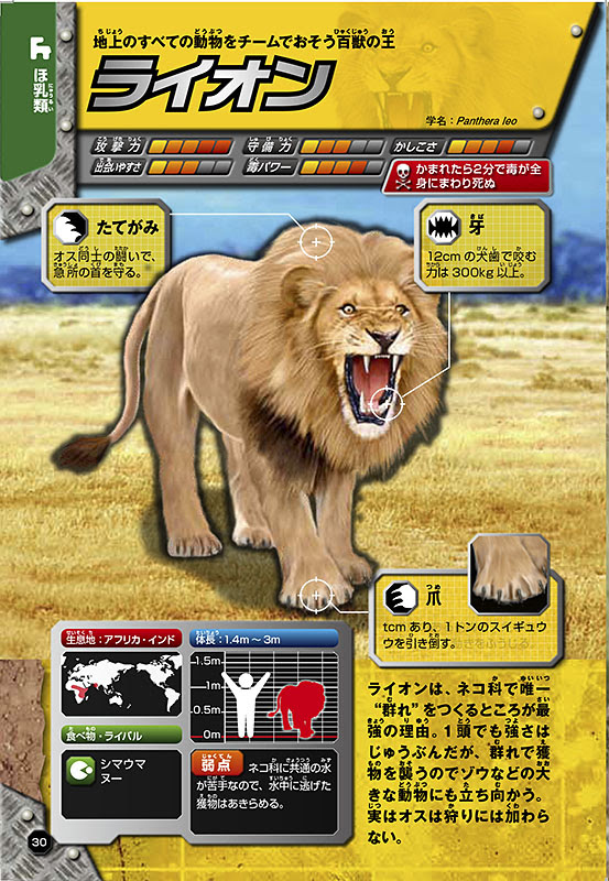 動物作品