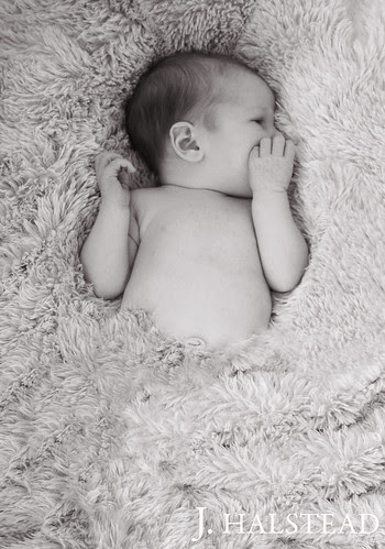 Callie 2 weeks old