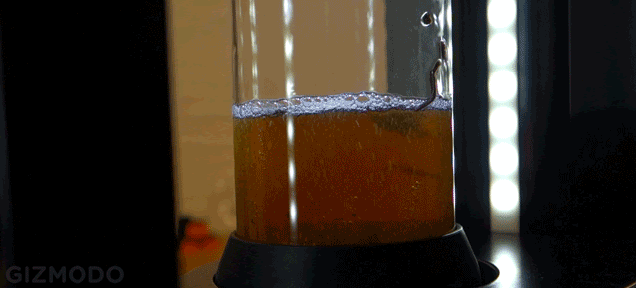 This Vacuum Brewer Infuses Your Tea (or Booze) With Almost Anything