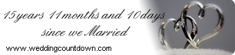 a wedding website