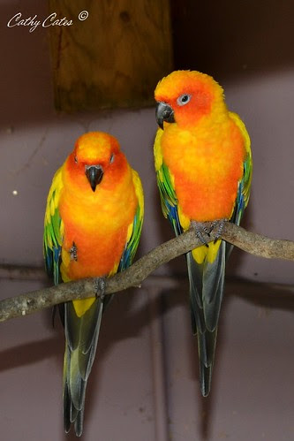 You talkin to us?