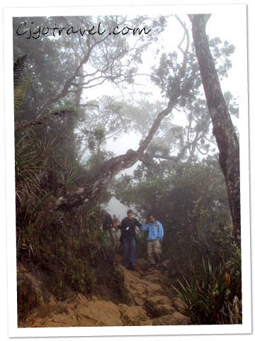 Mt Kinabalu