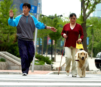 Wang Yi (L), a trainer, instructs a guide dog to lead a blind woman ...