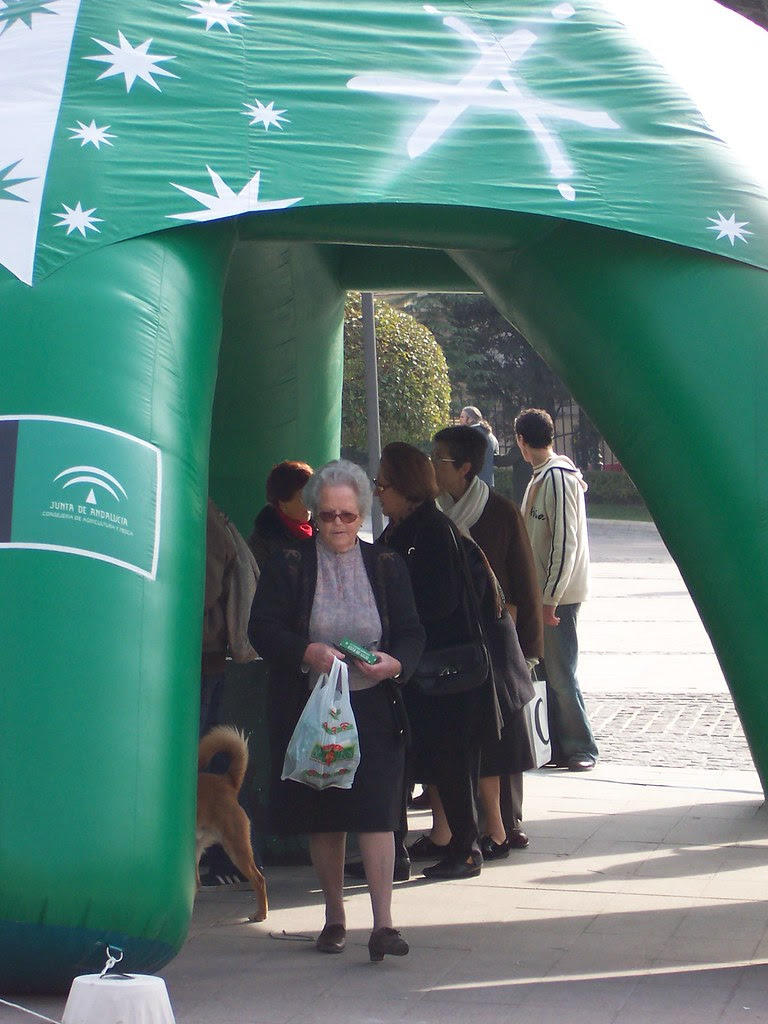 Estructuras hinchables