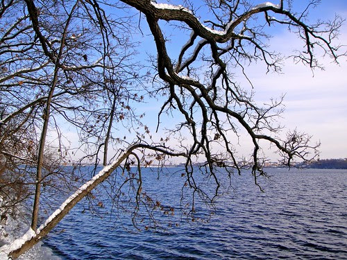 DSC06116