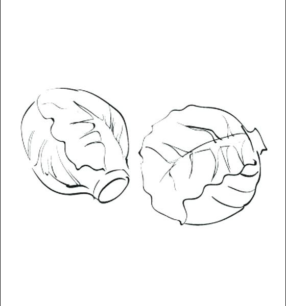 The Best Free Sprout Coloring Page Images Download From 66 Free