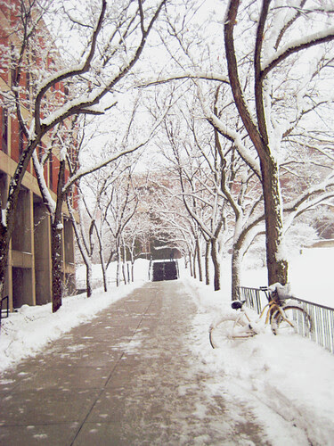Long Walk