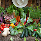 Gardening Australia Vegetable Planting Guide