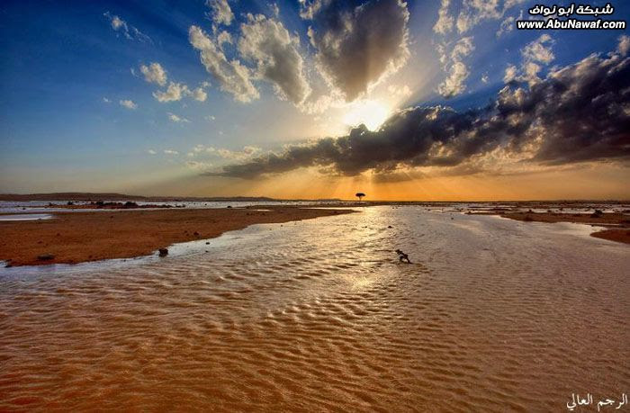 تصوير : لوحات مطرية من حالة مايو الربيعية