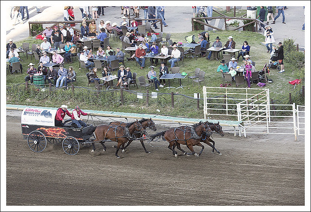 Calgary Stampede 49