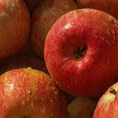 Honeycrisp Apples $1.99/lb