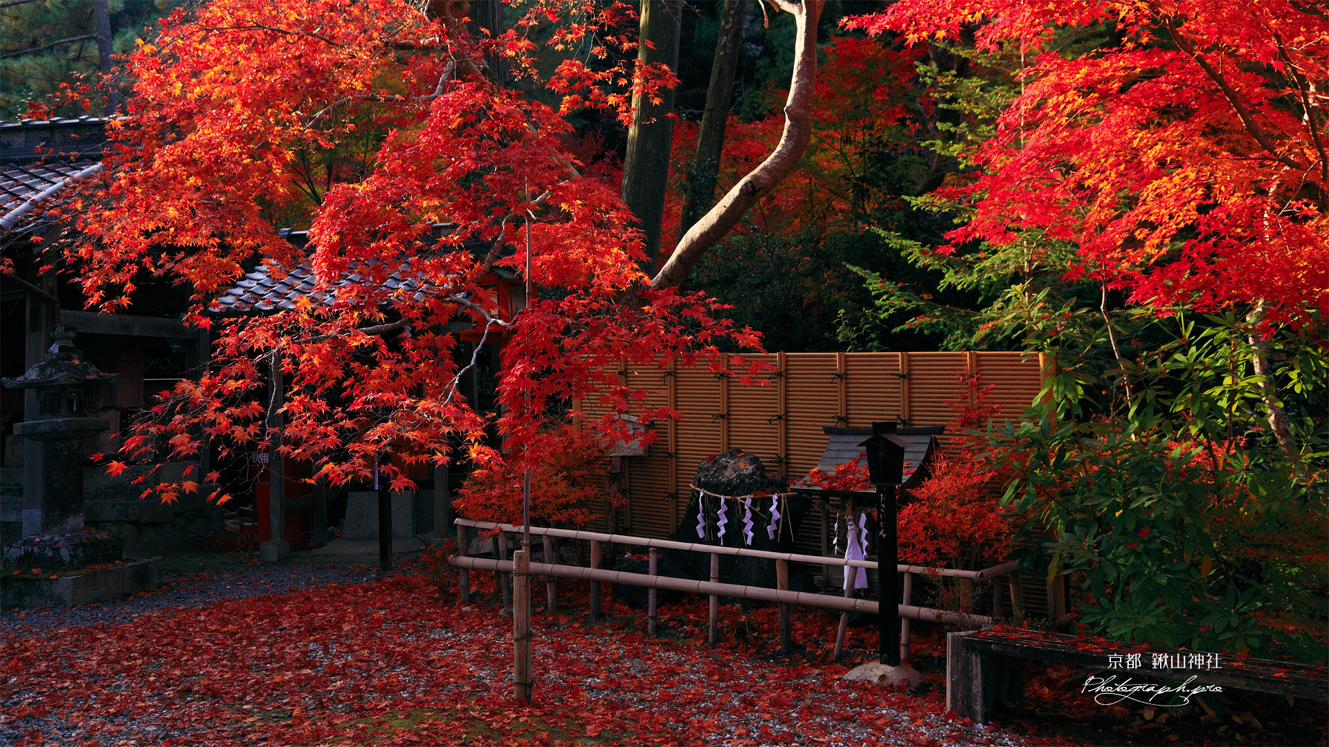 鍬山神社 紅葉と安産石 の壁紙 19x1080