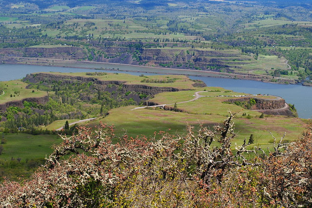 Tom McCall Preserve - Eastern Columbia River Gorge