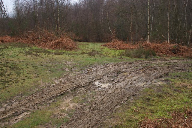 DSC_5482 mud